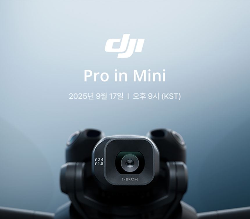 PRO in MINI